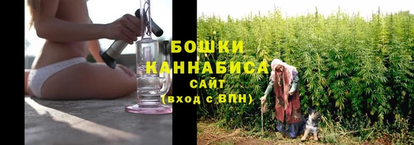 не бодяженный Бородино