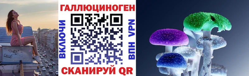 Купить где  Трубчевск  Псилоцибиновые грибы Cubensis 