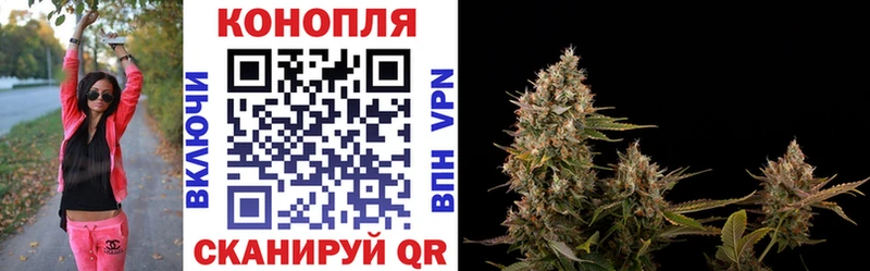 Бошки марихуана планчик  Купить  Трубчевск 